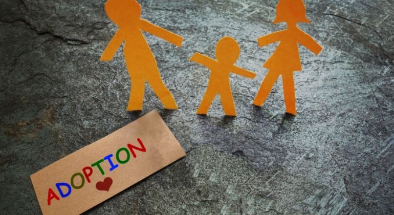 Adopción en España: Conoce las fases del proceso nacional e internacional