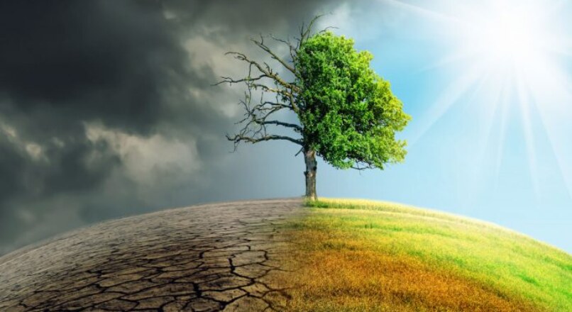 Ley de Cambio Climático: Novedades y Transición Energética en el Horizonte