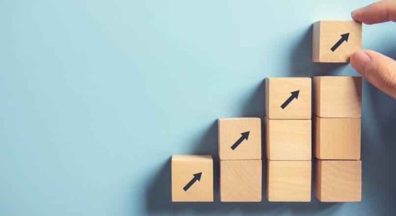Preparando la Casación Contencioso-Administrativa: Fase de Preparación del Recurso