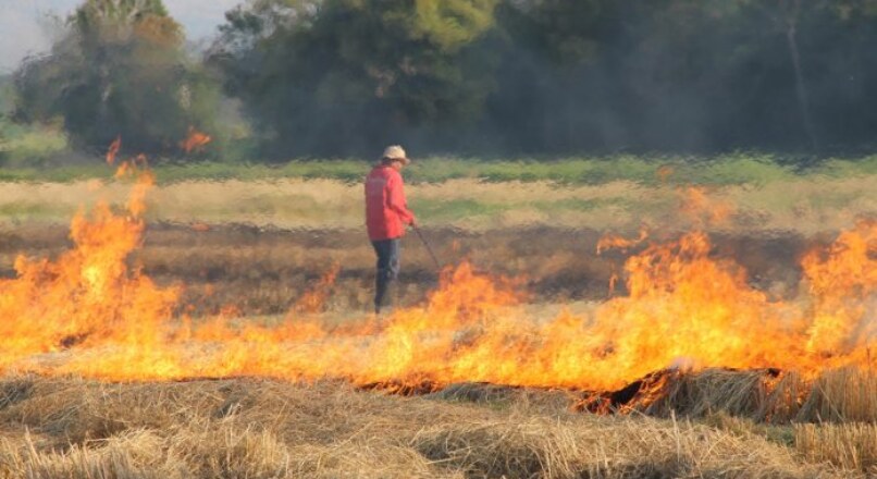 TSJ Murcia anula orden de Consejería sobre quemas agrícolas: todo lo que debes saber