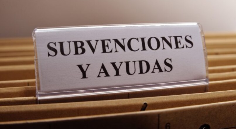 Premios y Subvenciones: Descubre la clave para el éxito de tu proyecto
